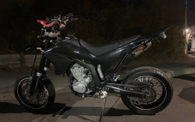 YAMAHA WR250X DG15J