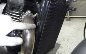 TRIUMPH SPEED 400 2024