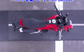 HONDA GROM