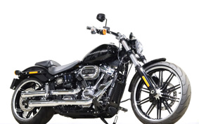 HARLEY FXBRS 2019 YHK