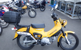 HONDA CROSS CUB JA45