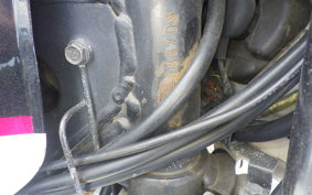 KAWASAKI SUPER SHERPA KL250G