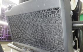 HONDA REBEL 250 S 2022 MC49