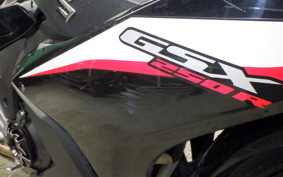 SUZUKI GSX250RA 2026