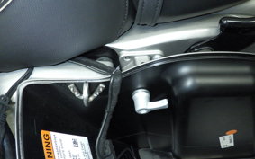 HARLEY FLHXSE1980CVO 2024