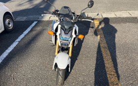 HONDA GROM JC75