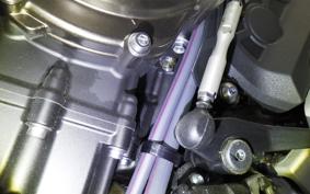 YAMAHA XSR900 GP 2024 RN96J