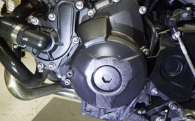 YAMAHA MT-09 2014 RN34J