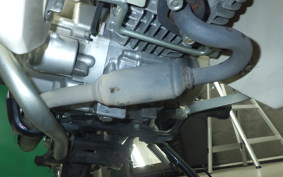 HONDA C110 SUPER CUB