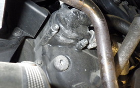 YAMAHA MAXAM 250 SG21J