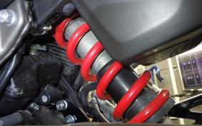 HONDA VTR 250 Gen. 2 MC33