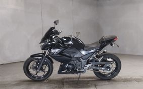 KAWASAKI Z250 ER250C