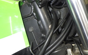 KAWASAKI SUPER SHERPA 2020 KL250G