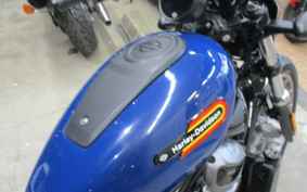 HARLEY RH975 NIGHT STAR 2024 ZF1