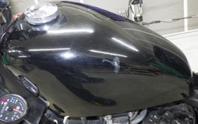 YAMAHA VIRAGO 250 2017 3DM