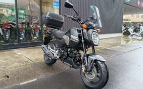 HONDA GROM JC92