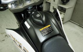 YAMAHA WR250X DG15J