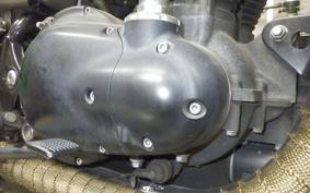 KAWASAKI W800 2021 EJ800B