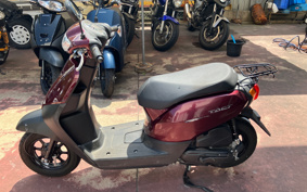 HARLEY X350 2024 W3C