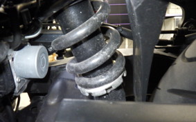 YAMAHA YZF-R25 A 1995 RG95J