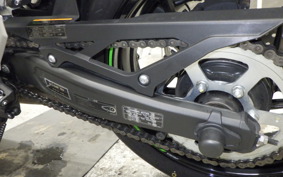 KAWASAKI ZX-4RR 2024 ZX400P