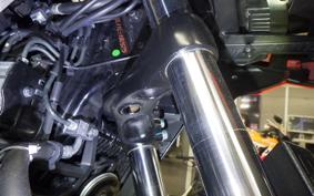 SUZUKI Vｽﾄﾛｰﾑ250SX 2022 EL11L