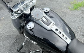 YAMAHA AKUSHI STREET SE53J