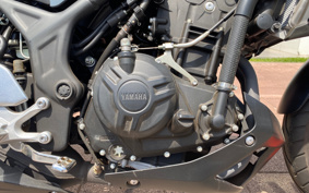 YAMAHA MT-25 ABS RG43J