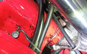 HONDA XL400R 1983 ND01