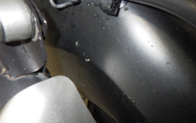 YAMAHA FZ1 FAZER 2011 RN21J