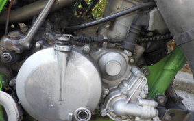 KAWASAKI KDX125 SR 2020 DX125A