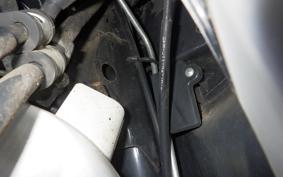 HONDA LEAD 110 2024 JF19