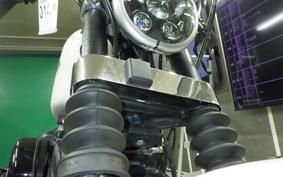 HARLEY XL883N 2017
