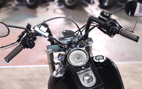 HARLEY FXST 2010 BV5