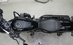 HARLEY RH975 2022