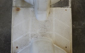 HONDA SQUASH 2013 AB11