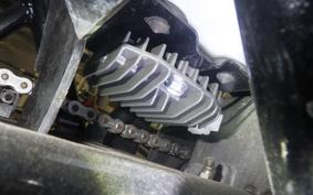 KAWASAKI Z900 2024 Z1F