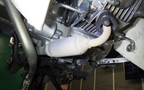 HONDA C50 SUPER CUB 2019 AA09