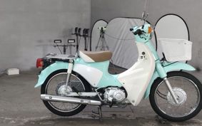 HONDA SUPER CUB110 JA07