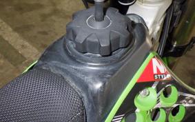 KAWASAKI KX250 F 2015 KX250Y