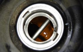 HONDA TODAY 2025 AF61