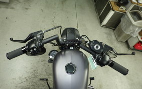 HARLEY XL883N 2015
