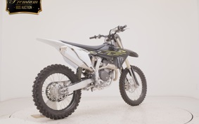 TRIUMPH TF250-X