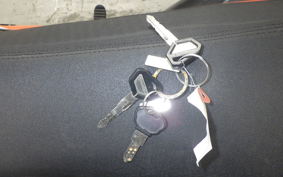 KAWASAKI KLX250D TRACKER X 2017 LX250V