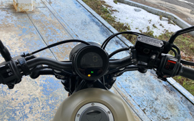 HONDA  REBEL 250 ABS MC49