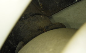 HONDA GYRO UP 2019 TA01