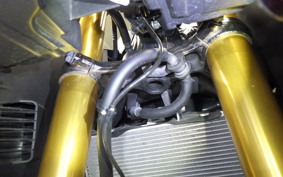 HONDA CBR250RR A 2021 MC51