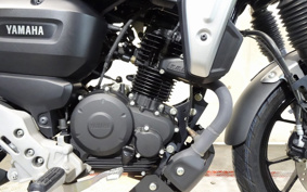 YAMAHA FZ-X RG73