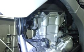 YAMAHA WR250R 2024 DG15J