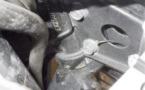 KAWASAKI NINJA 250R EX250K